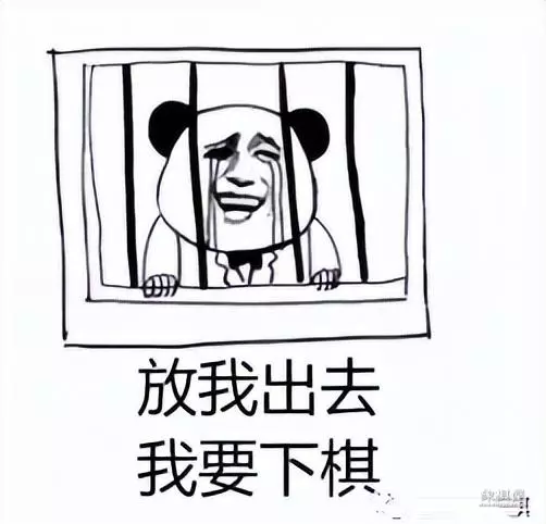象棋自学一月通