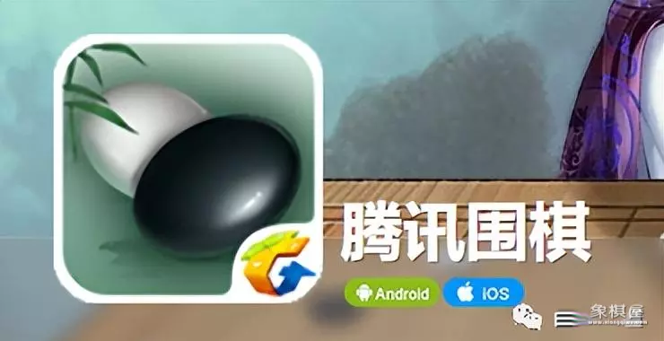 象棋自学一月通