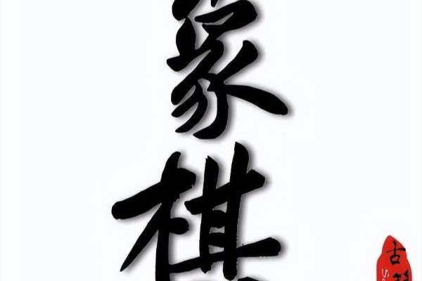 象棋开局与布局精要珍藏版（如何快速掌握象棋开局与布局的秘诀）.