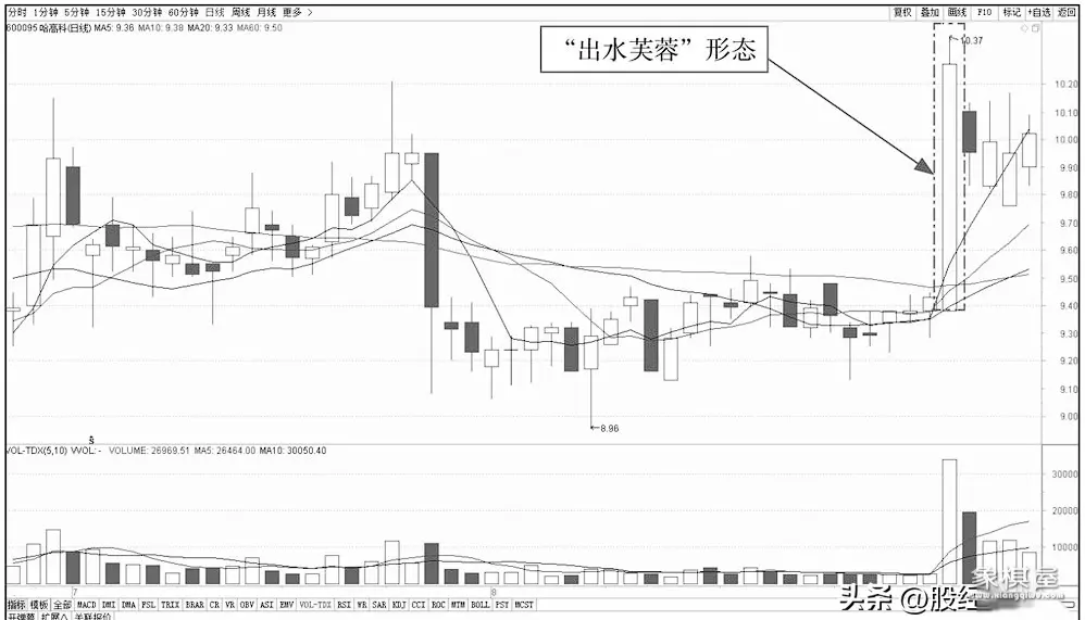 仙人指路比喻什么动物