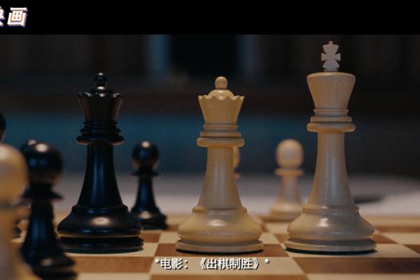 国际象棋王后说明书（如何让这位女王在你的棋盘上熠熠生辉）.