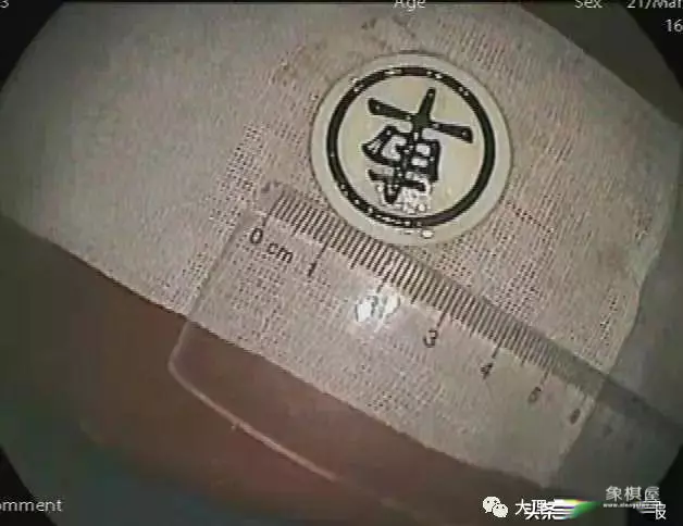 象棋中的车可以吃车吗