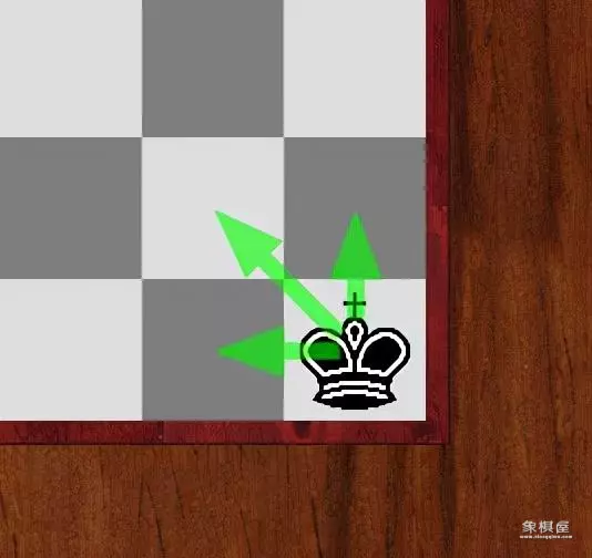 国际象棋允许王对王吗