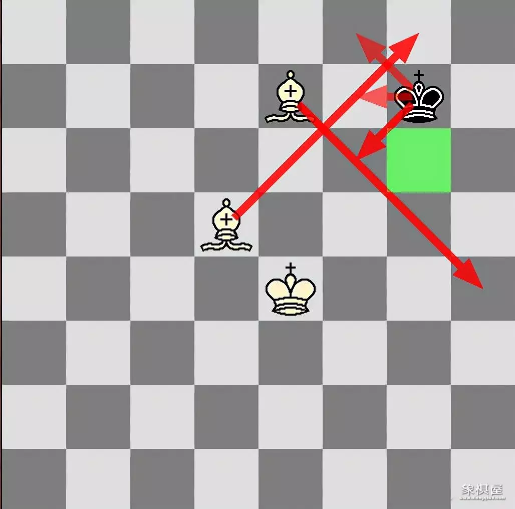 国际象棋允许王对王吗