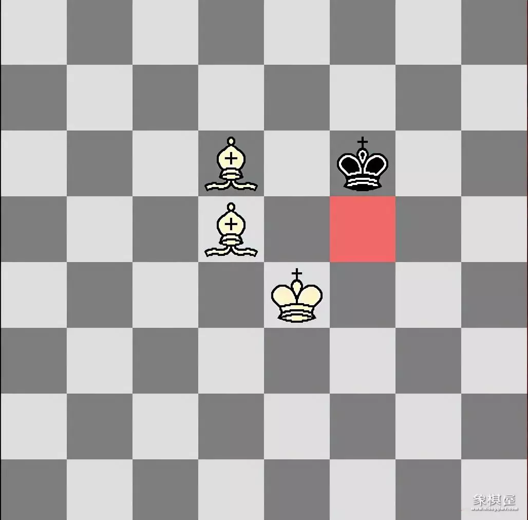 国际象棋允许王对王吗