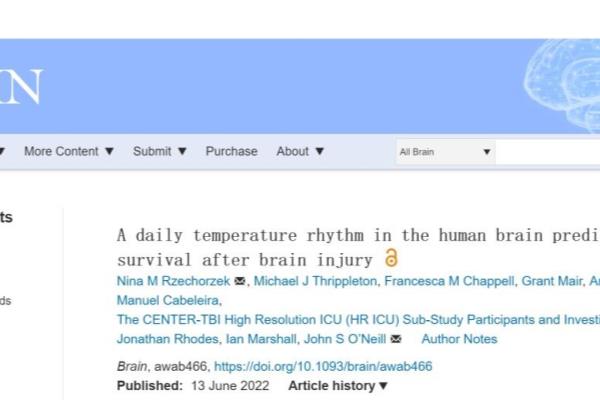 象棋和麻将哪个对大脑好（探索智力游戏之美，象棋 or 麻将，谁更胜一筹）.