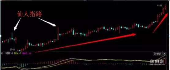 仙人指路k线典型形态