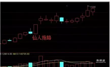 什么叫仙人指路k线