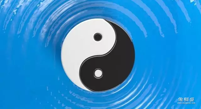 两个象棋的象什么意思