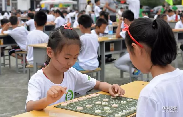 两个象棋的象什么意思