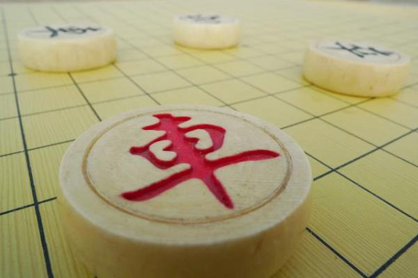 两个象棋的象什么意思（象的奥秘，双象布局有何深意）