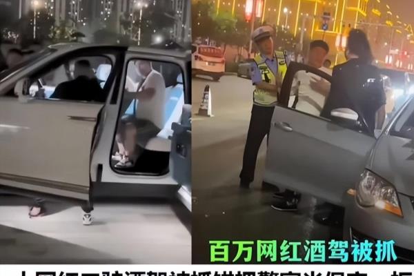 网红二驴酒驾事件（网红二驴酒驾事件，他是否应该受到更严厉的惩罚）.