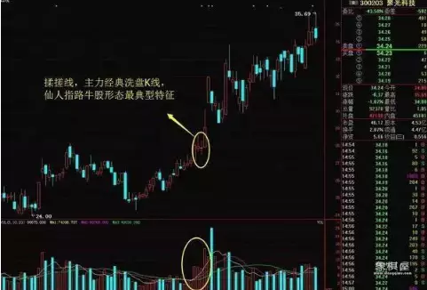 仙人指路是阴线还是阳线