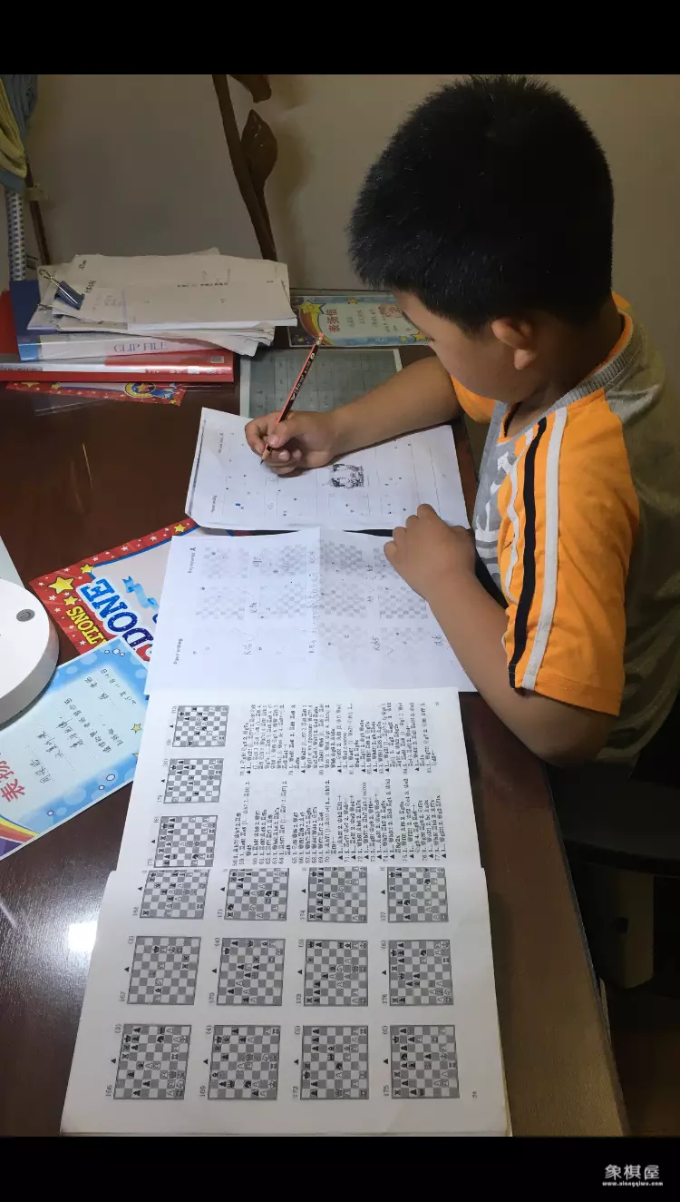 国际象棋好的孩子说明什么区别