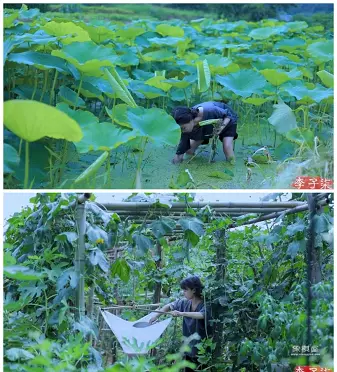 李象棋怎么拍照片教程图解