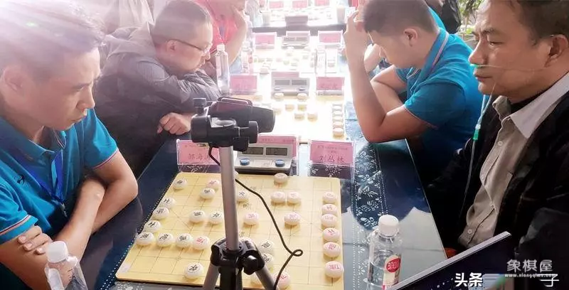 云南象棋十二强排名图片