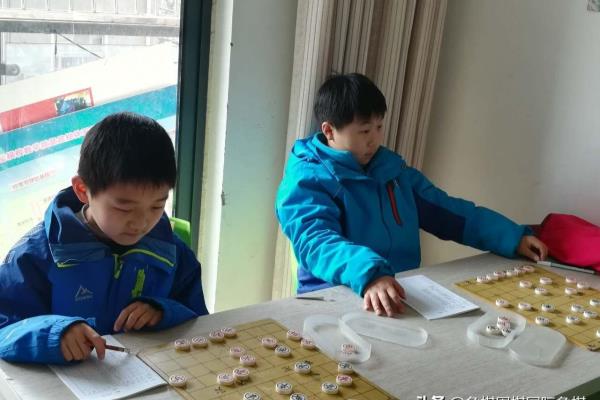 竹象棋好还是木象棋好（竹象棋与木象棋，究竟谁更胜一筹）.