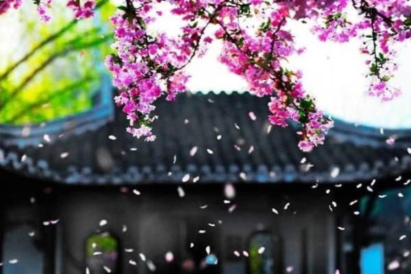 天天象棋残局36暗度陈仓（天天象棋残局36:如何暗度陈仓）.