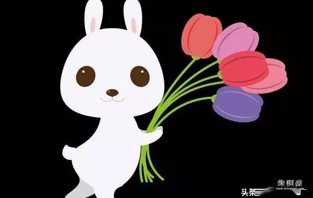 降龙伏虎云中斗指什么生肖