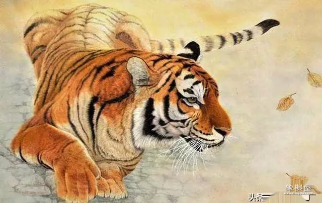 降龙伏虎云中斗指什么生肖