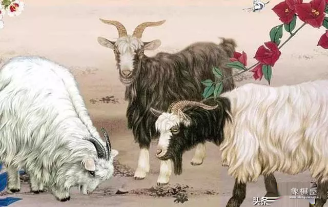 降龙伏虎云中斗指什么生肖