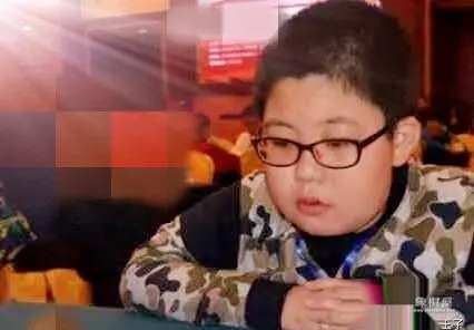 象棋陈栋个人简历