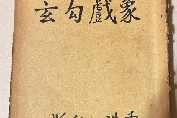 图解象棋杀着名局书籍（图解象棋杀着名局书籍，探索棋艺巅峰，你敢来挑战吗）.