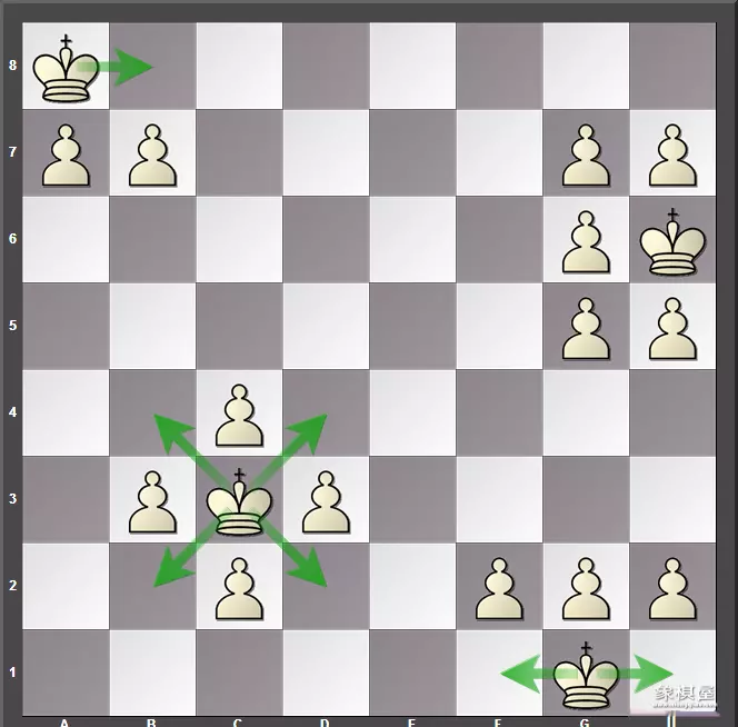 国际象棋王可以斜着走吗