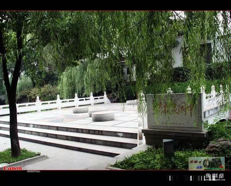 关于赞美象棋的词