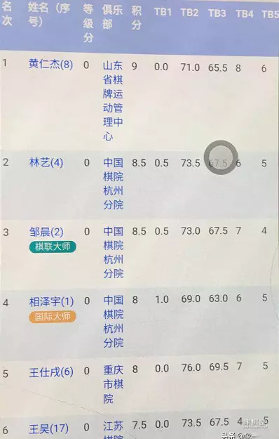 中国国际象棋谁最厉害