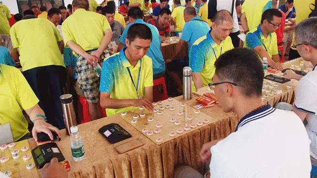 全民象棋的客户电话
