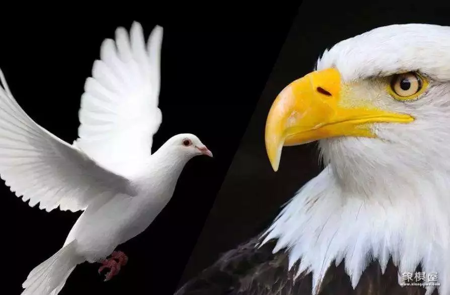 博弈论普通人能看懂吗