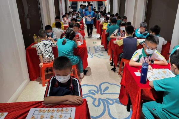 广东象棋网最新消息（广东象棋网最新动态，揭秘本土棋坛争霸战）.