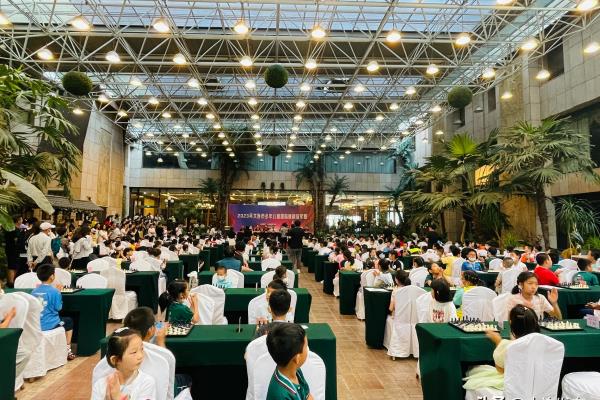 少儿国际象棋培训班（让孩子在国际象棋的世界里翱翔，开启智慧之旅）.