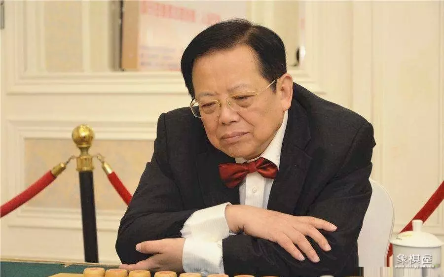 许银川评价胡荣华