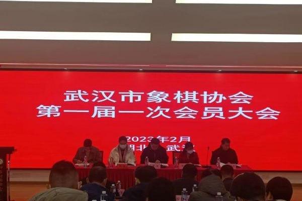 象棋协会会员一年交多少钱（加入象棋协会，一年会费是多少）.