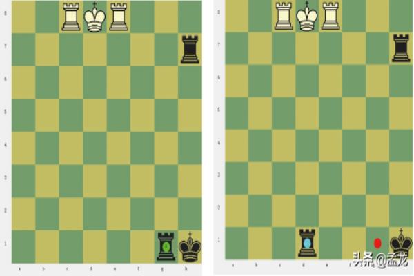 国际象棋的下法和规则英文术语.