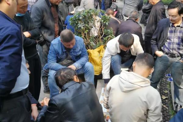 小伙误入公园象棋摊主（误入公园象棋摊主，小伙将如何挑战棋艺巅峰）.