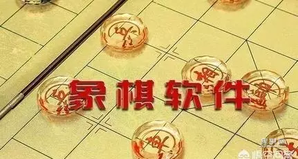 许银川下不过象棋巫师