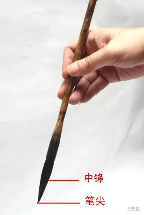 竹子漂亮简单画法