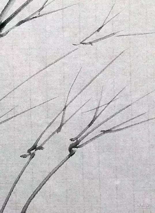 竹子漂亮简单画法