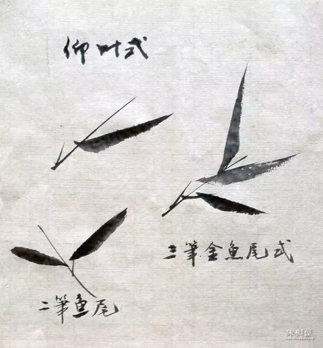 竹子漂亮简单画法