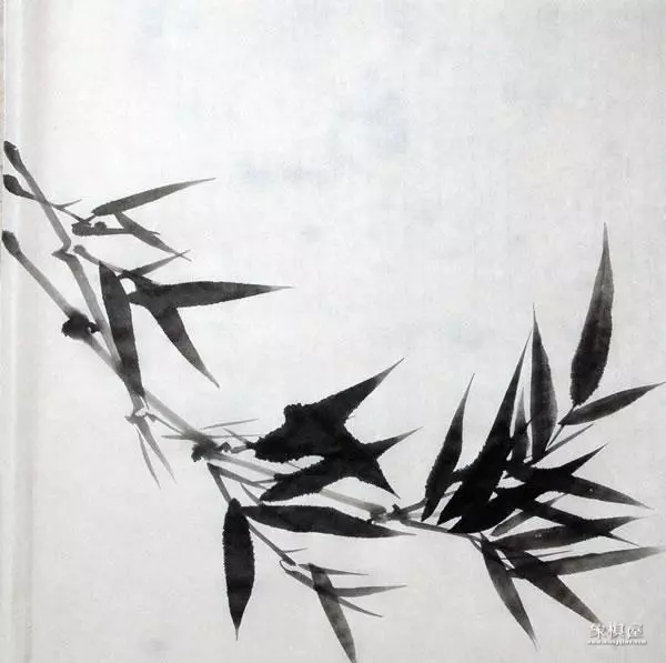 竹子漂亮简单画法