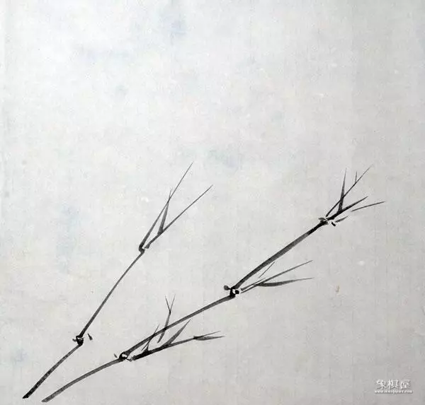 竹子漂亮简单画法