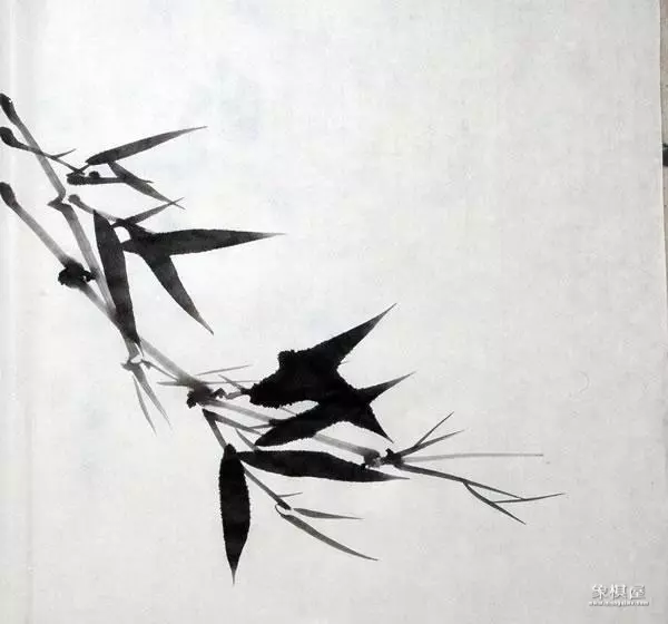 竹子漂亮简单画法