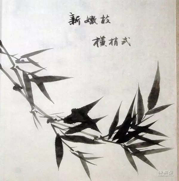 竹子漂亮简单画法