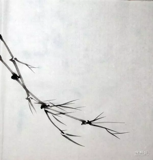 竹子漂亮简单画法