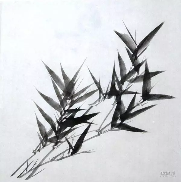 竹子漂亮简单画法