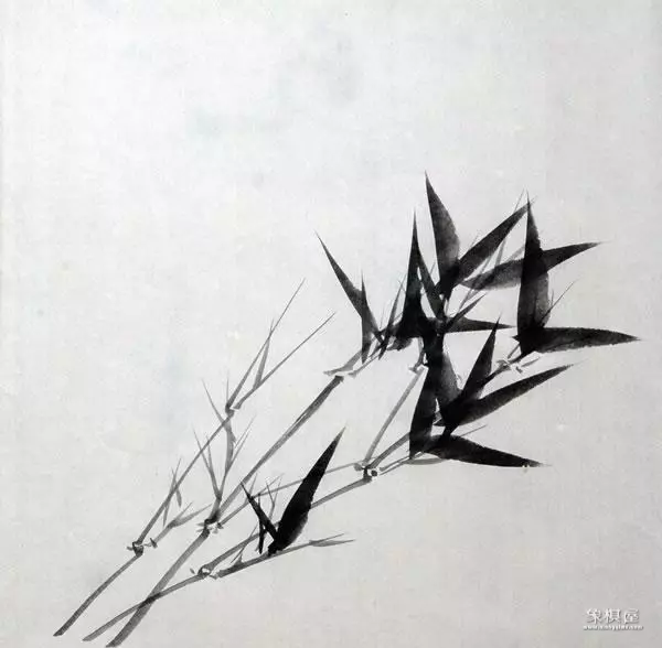 竹子漂亮简单画法