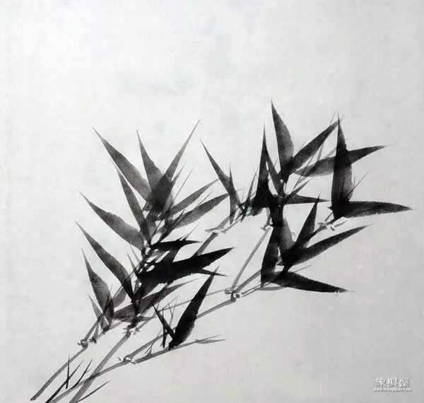 竹子漂亮简单画法